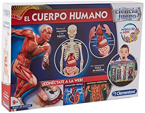 Figura educativa de esqueleto humano Learning Resources 