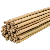 Los 30 mejores cañas de bambu capaces: la mejor revisión sobre cañas de bambu