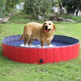 Los 30 mejores piscinas para perros capaces: la mejor revisión sobre piscinas para perros
